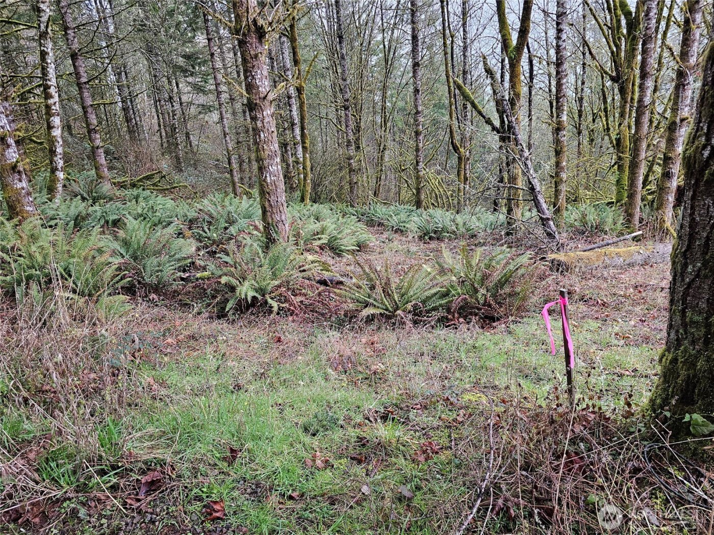 573 Clearwater Road , Kelso, WA 98626