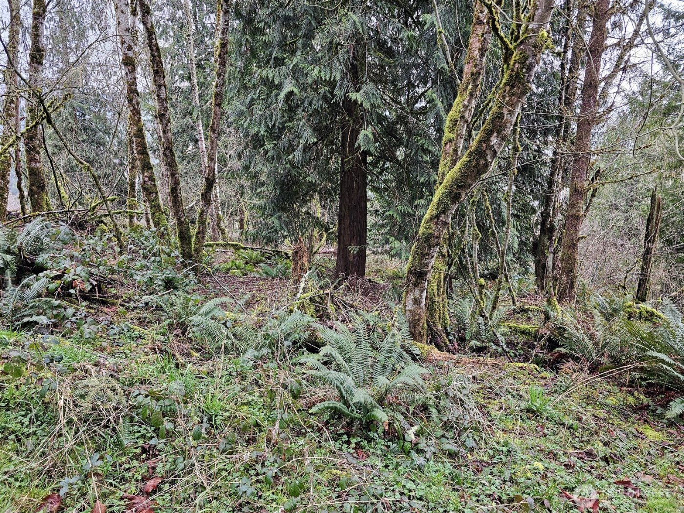 573 Clearwater Road , Kelso, WA 98626