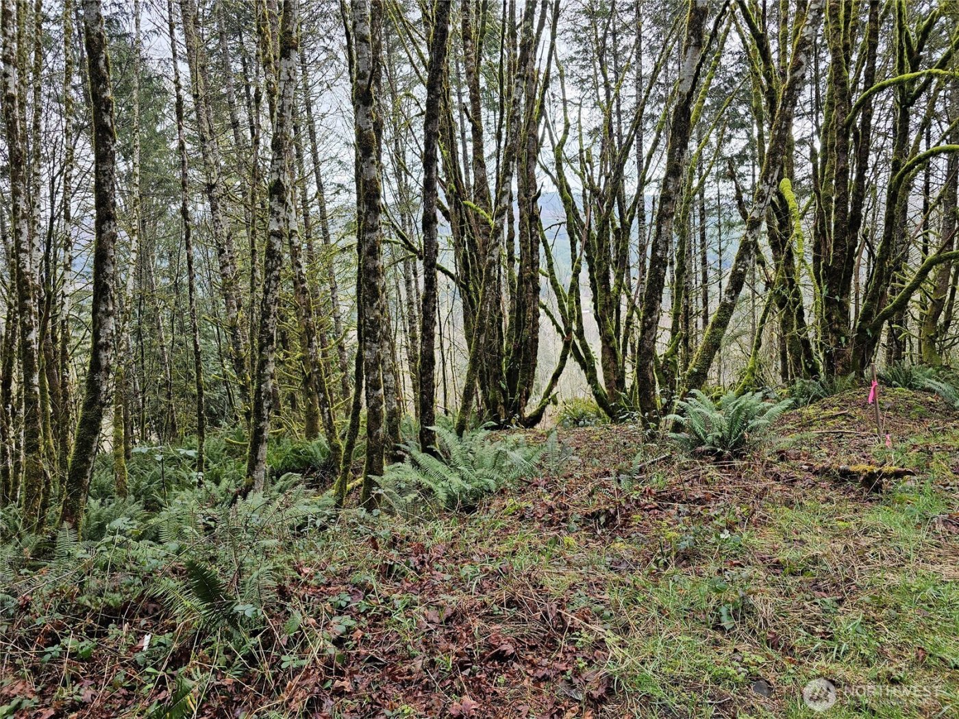 573 Clearwater Road , Kelso, WA 98626