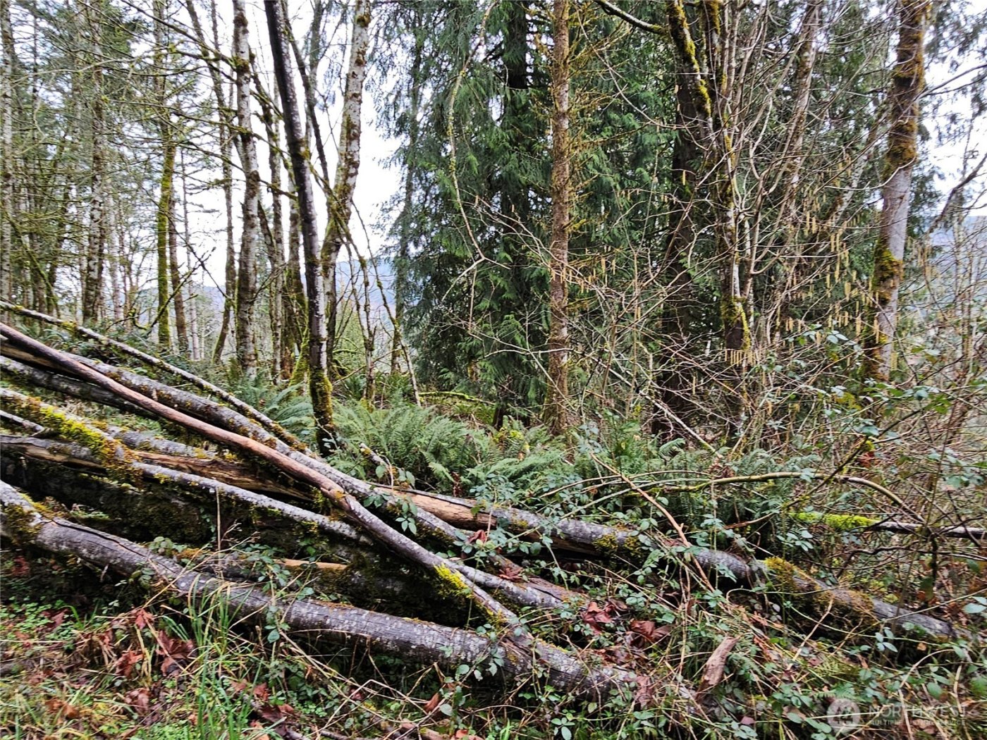 573 Clearwater Road , Kelso, WA 98626