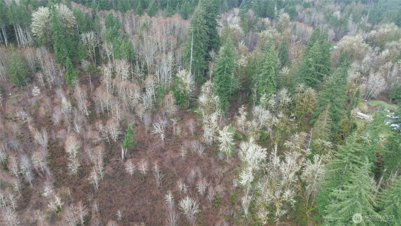 573 Clearwater Road , Kelso, WA 98626