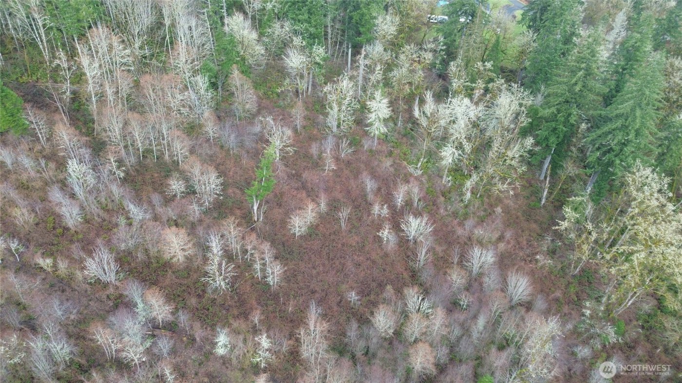 573 Clearwater Road , Kelso, WA 98626