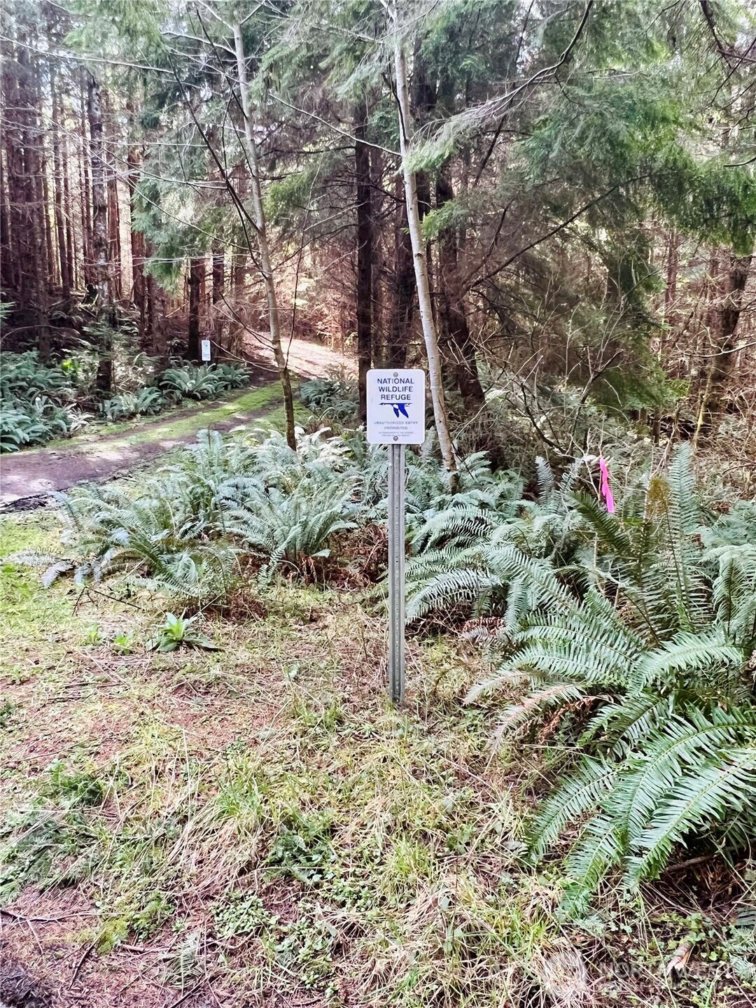 26 Lynn Point Lane , South Bend, WA 98586