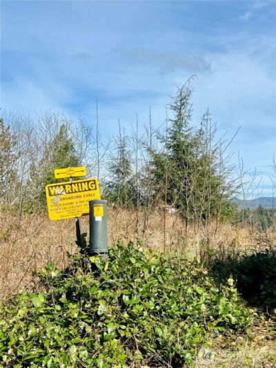 26 Lynn Point Lane , South Bend, WA 98586 - Photo 14