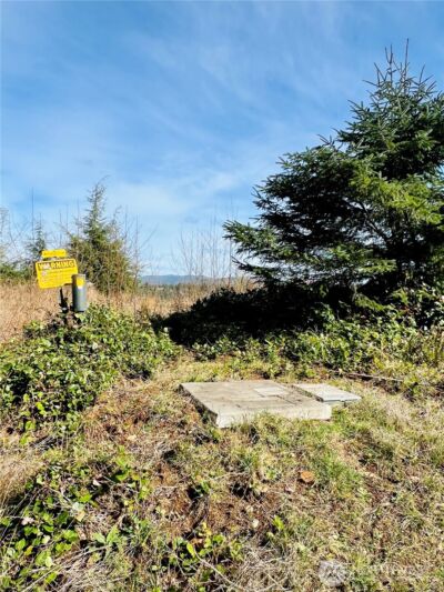 26 Lynn Point Lane , South Bend, WA 98586 - Photo 15