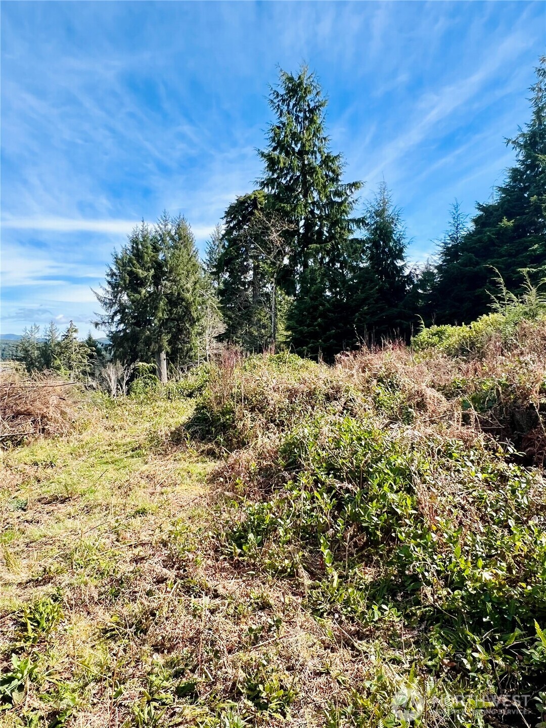 26 Lynn Point Lane , South Bend, WA 98586