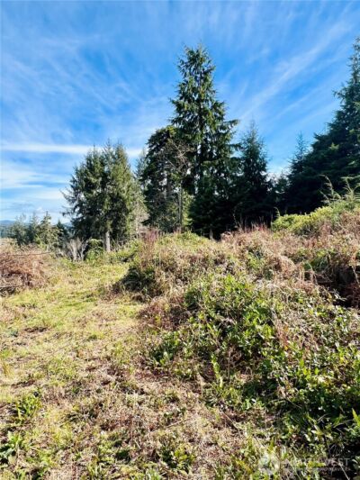 26 Lynn Point Lane , South Bend, WA 98586 - Photo 17