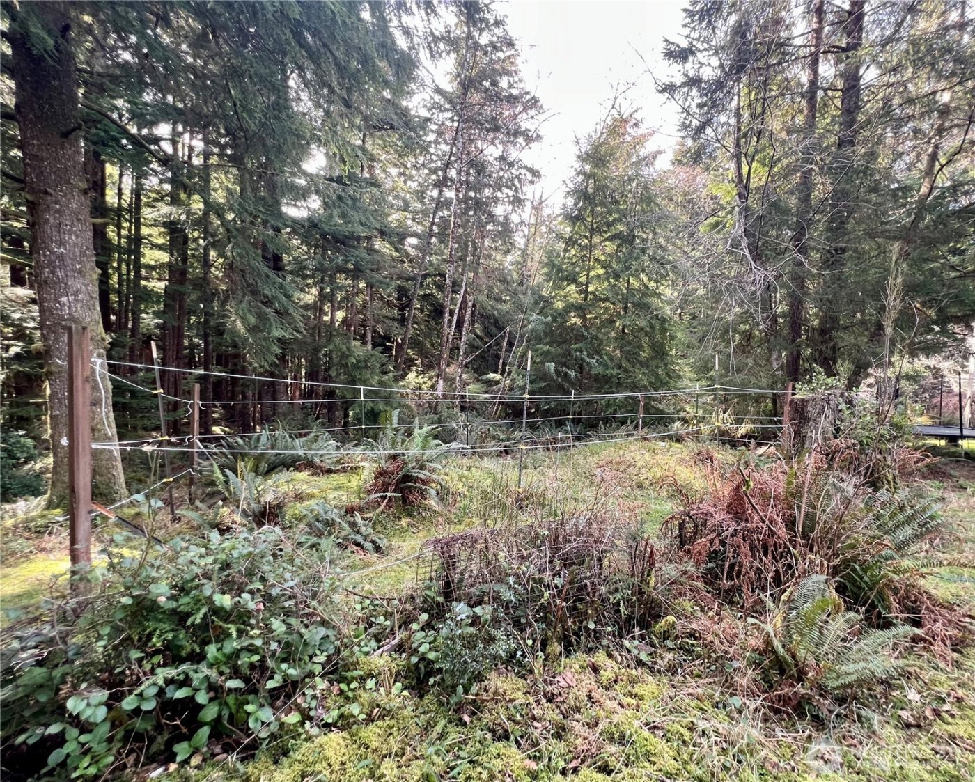 26 Lynn Point Lane , South Bend, WA 98586