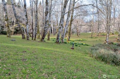 26 Lynn Point Lane , South Bend, WA 98586 - Photo 35