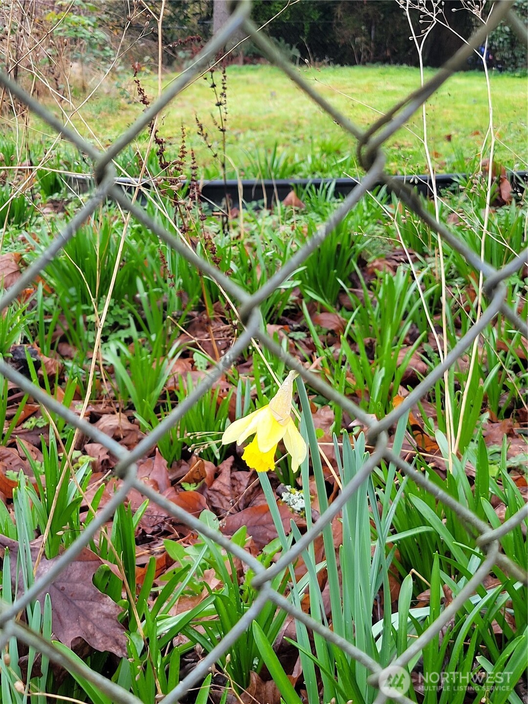 19424 Winesap Road , Bothell, WA 98012