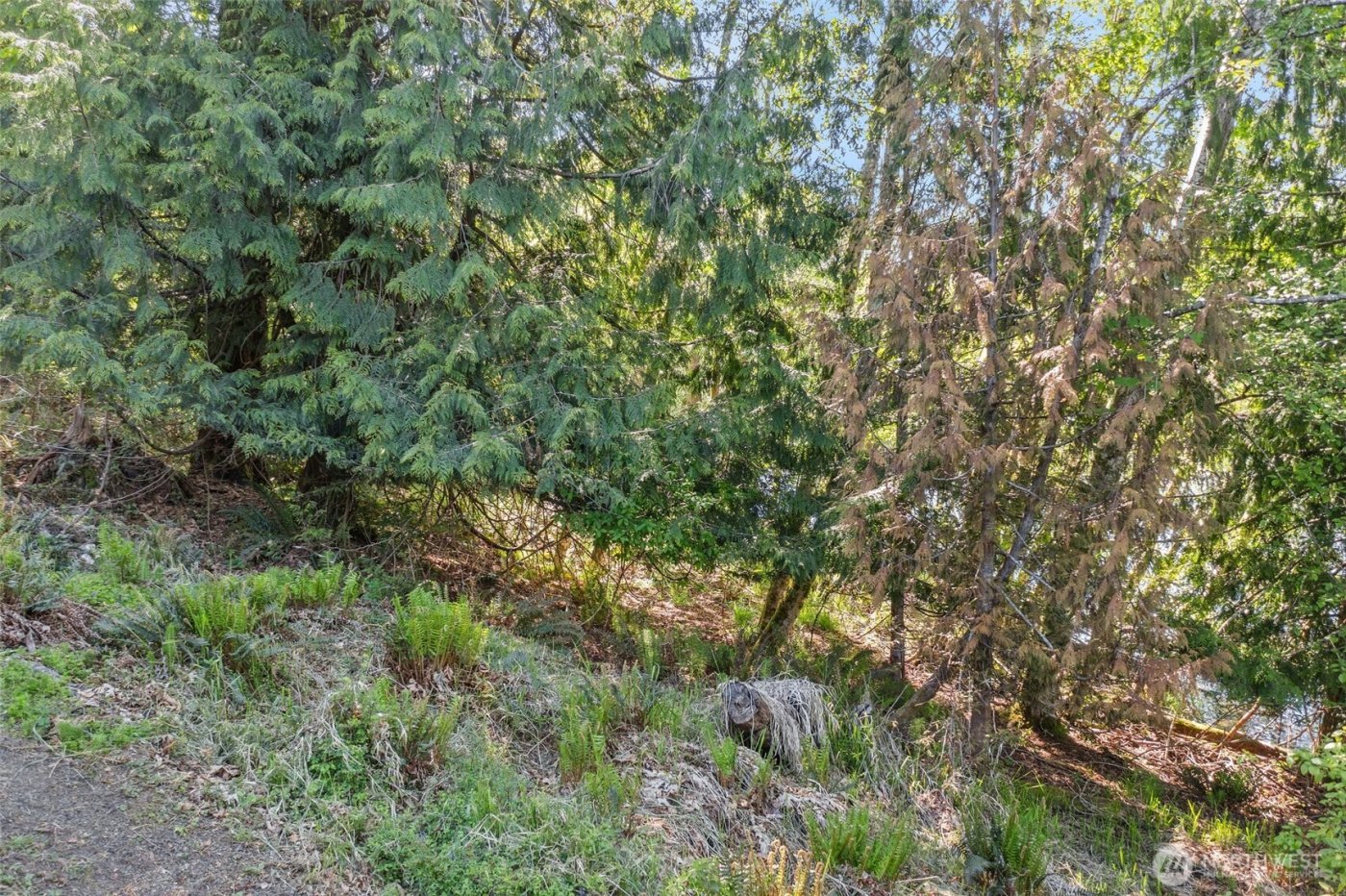 1710 SE Crescent Drive , Shelton, WA 98584