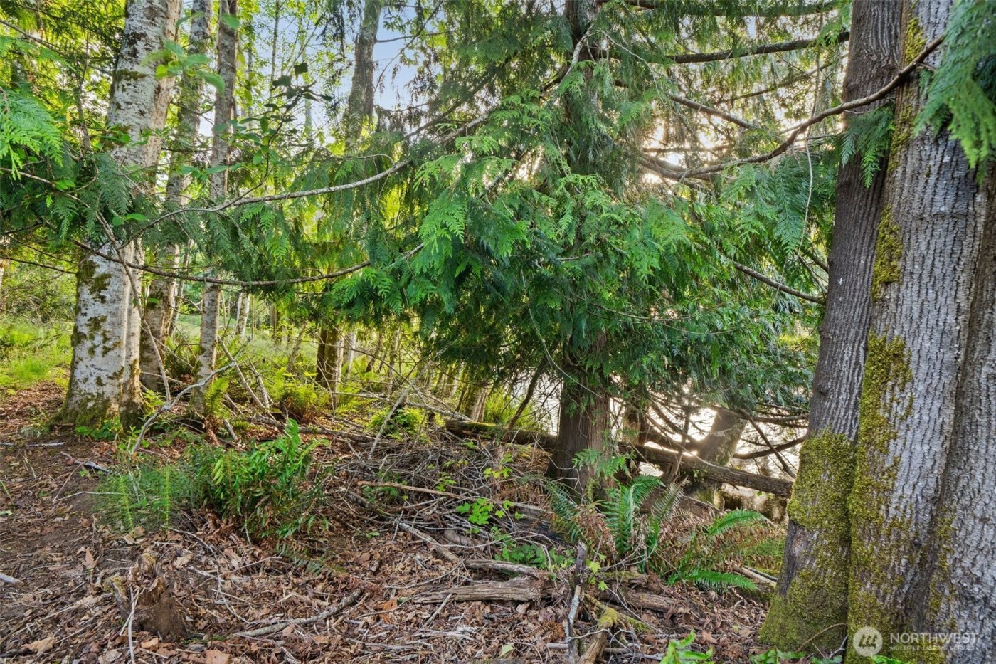 1710 SE Crescent Drive , Shelton, WA 98584