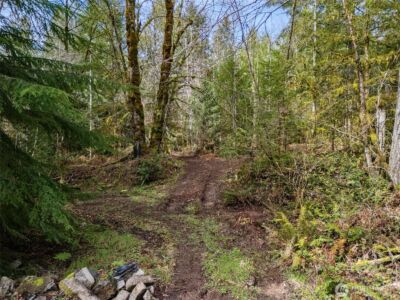 4 XX SE Sea Der Hok Lane , Shelton, WA 98584 - Photo 18
