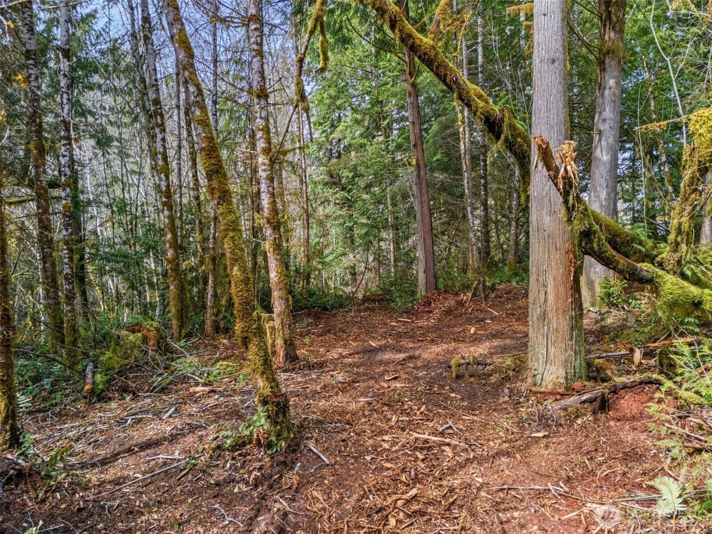 4 XX SE Sea Der Hok Lane , Shelton, WA 98584