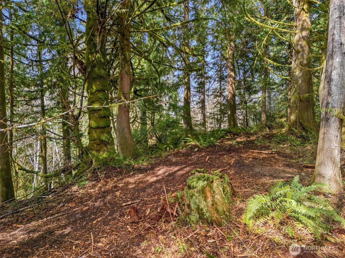 4 XX SE Sea Der Hok Lane , Shelton, WA 98584