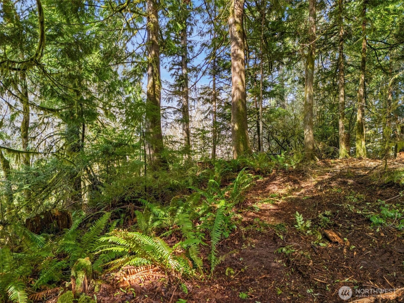 4 XX SE Sea Der Hok Lane , Shelton, WA 98584