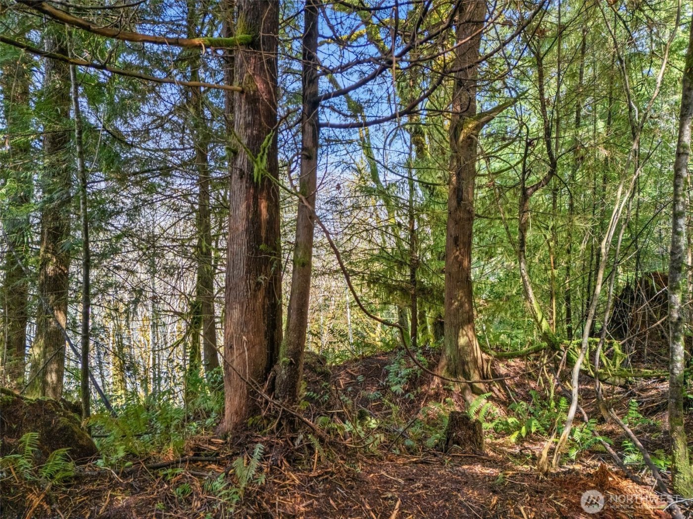 4 XX SE Sea Der Hok Lane , Shelton, WA 98584