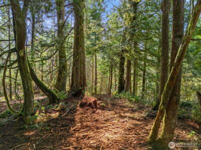 4 XX SE Sea Der Hok Lane , Shelton, WA 98584 - Photo 23