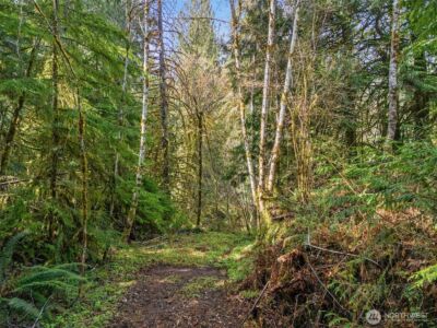 4 XX SE Sea Der Hok Lane , Shelton, WA 98584 - Photo 25