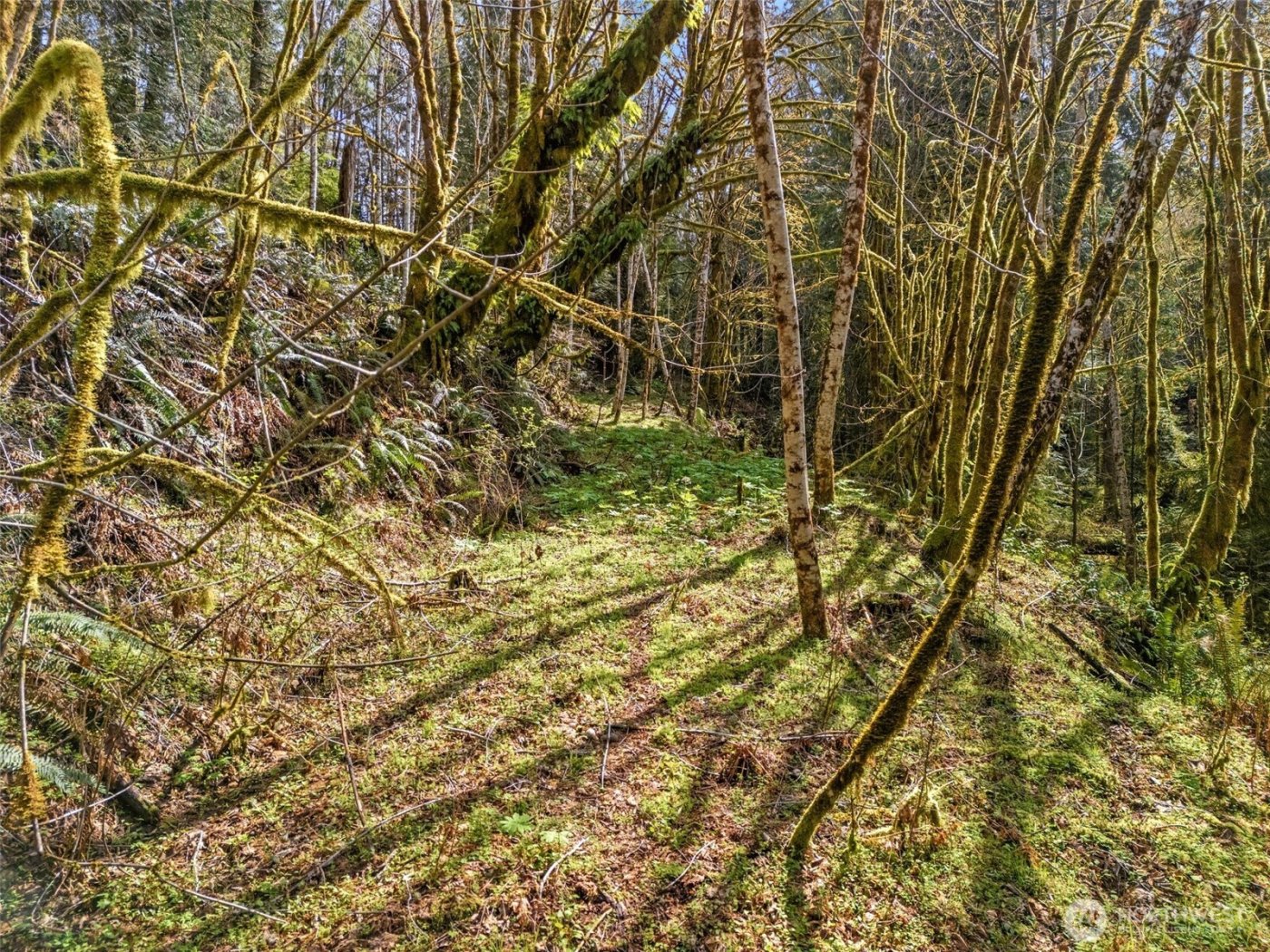 4 XX SE Sea Der Hok Lane , Shelton, WA 98584