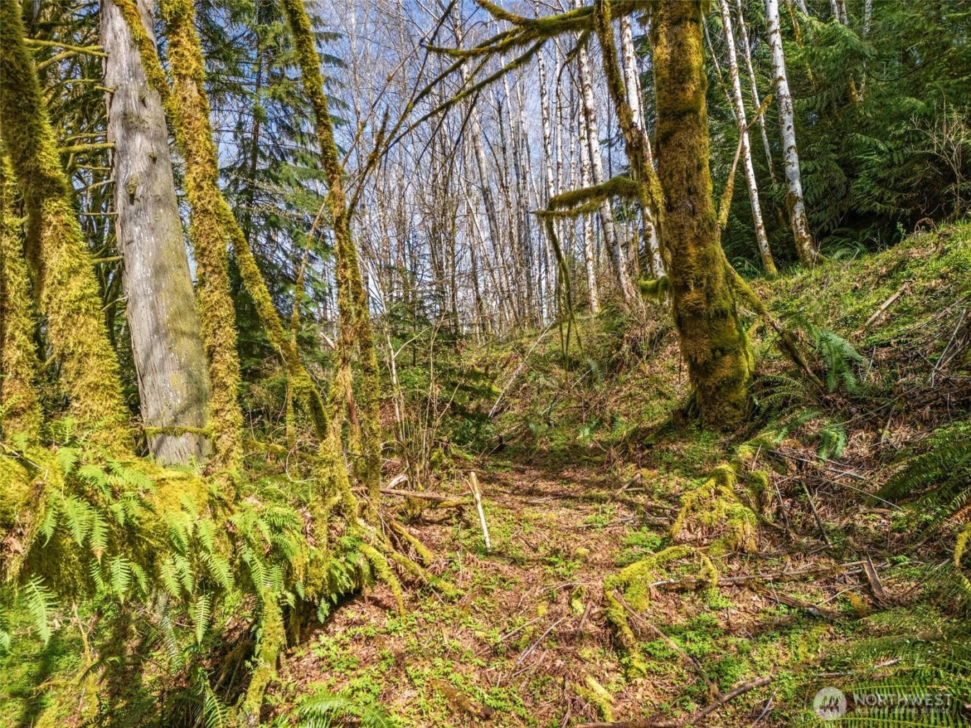 4 XX SE Sea Der Hok Lane , Shelton, WA 98584