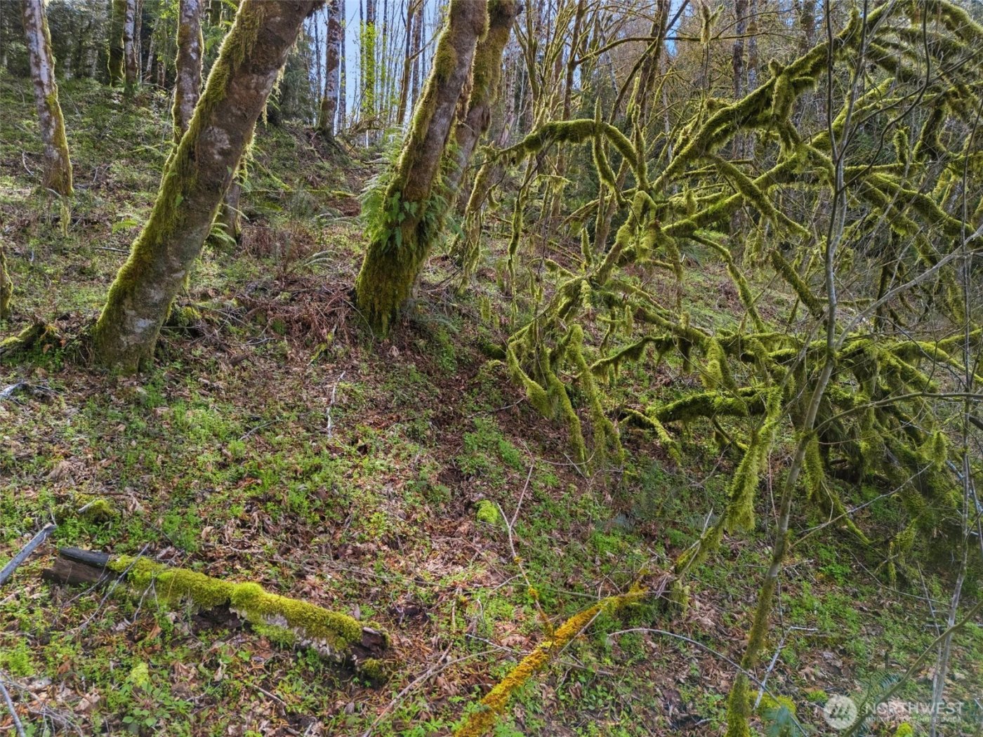 4 XX SE Sea Der Hok Lane , Shelton, WA 98584