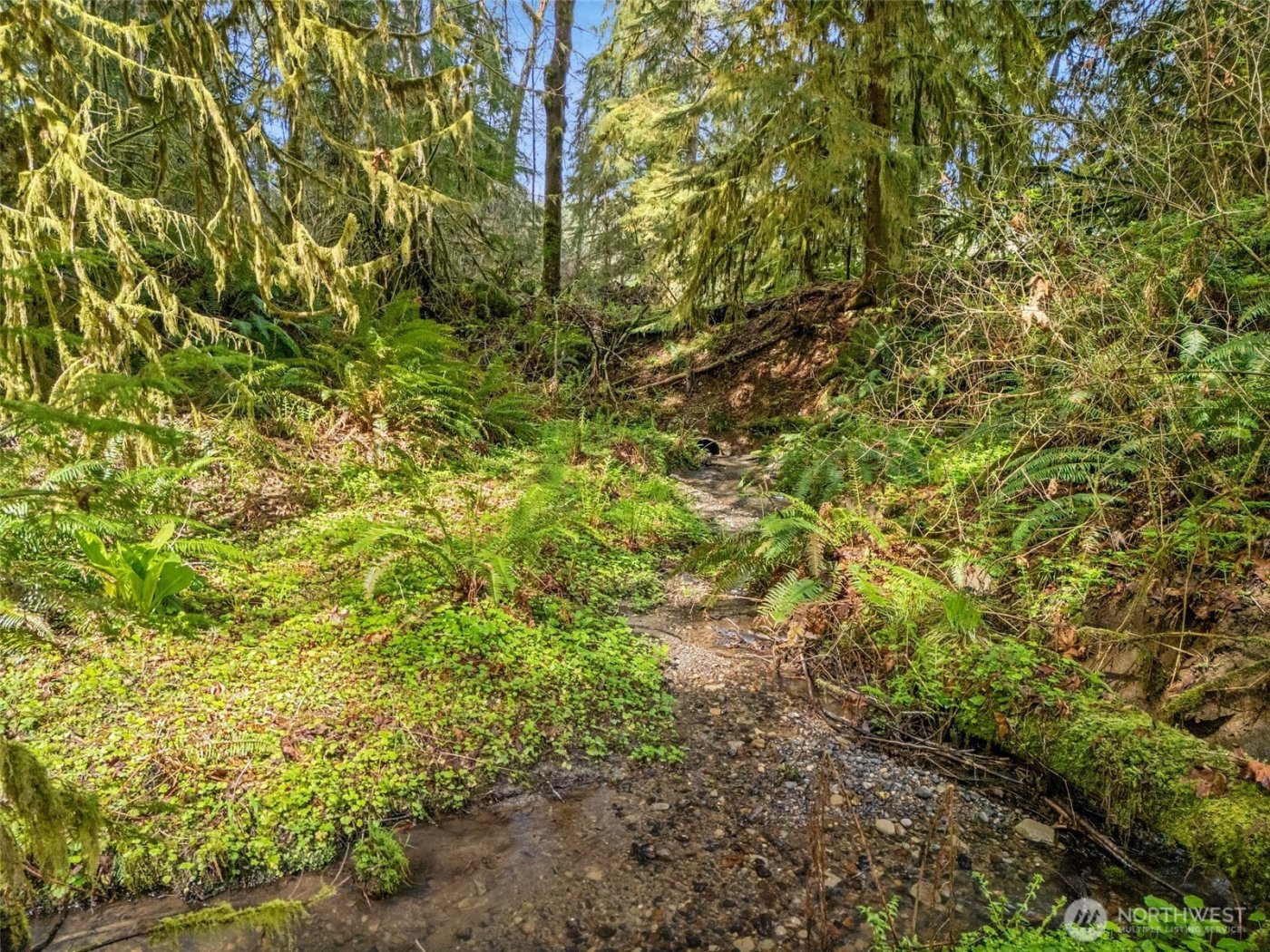 4 XX SE Sea Der Hok Lane , Shelton, WA 98584