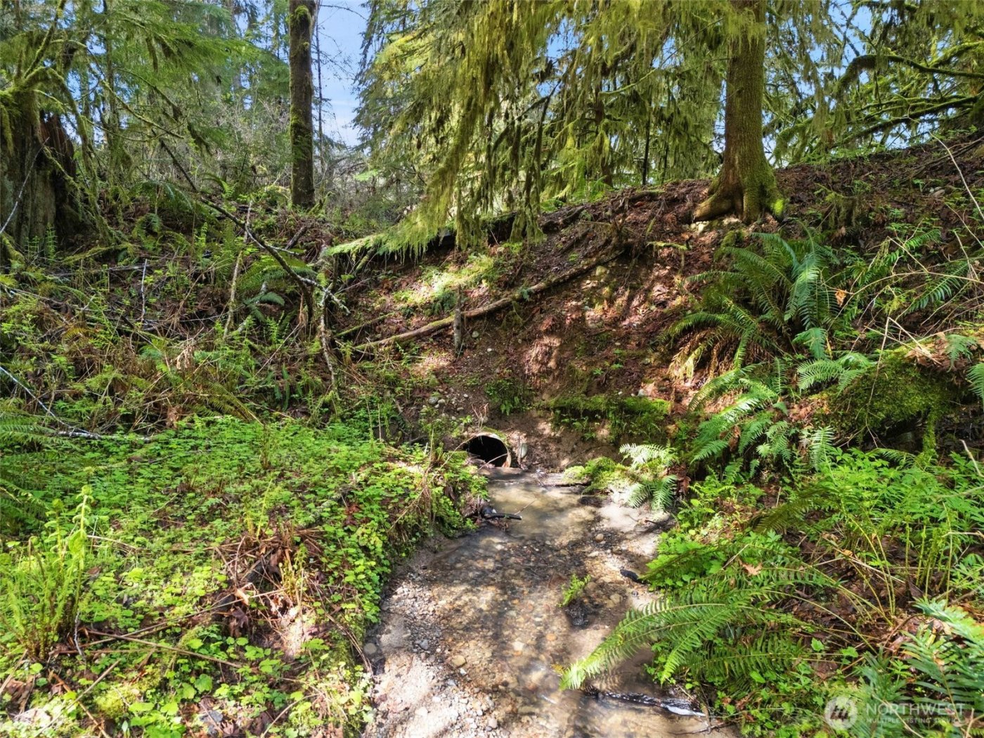 4 XX SE Sea Der Hok Lane , Shelton, WA 98584