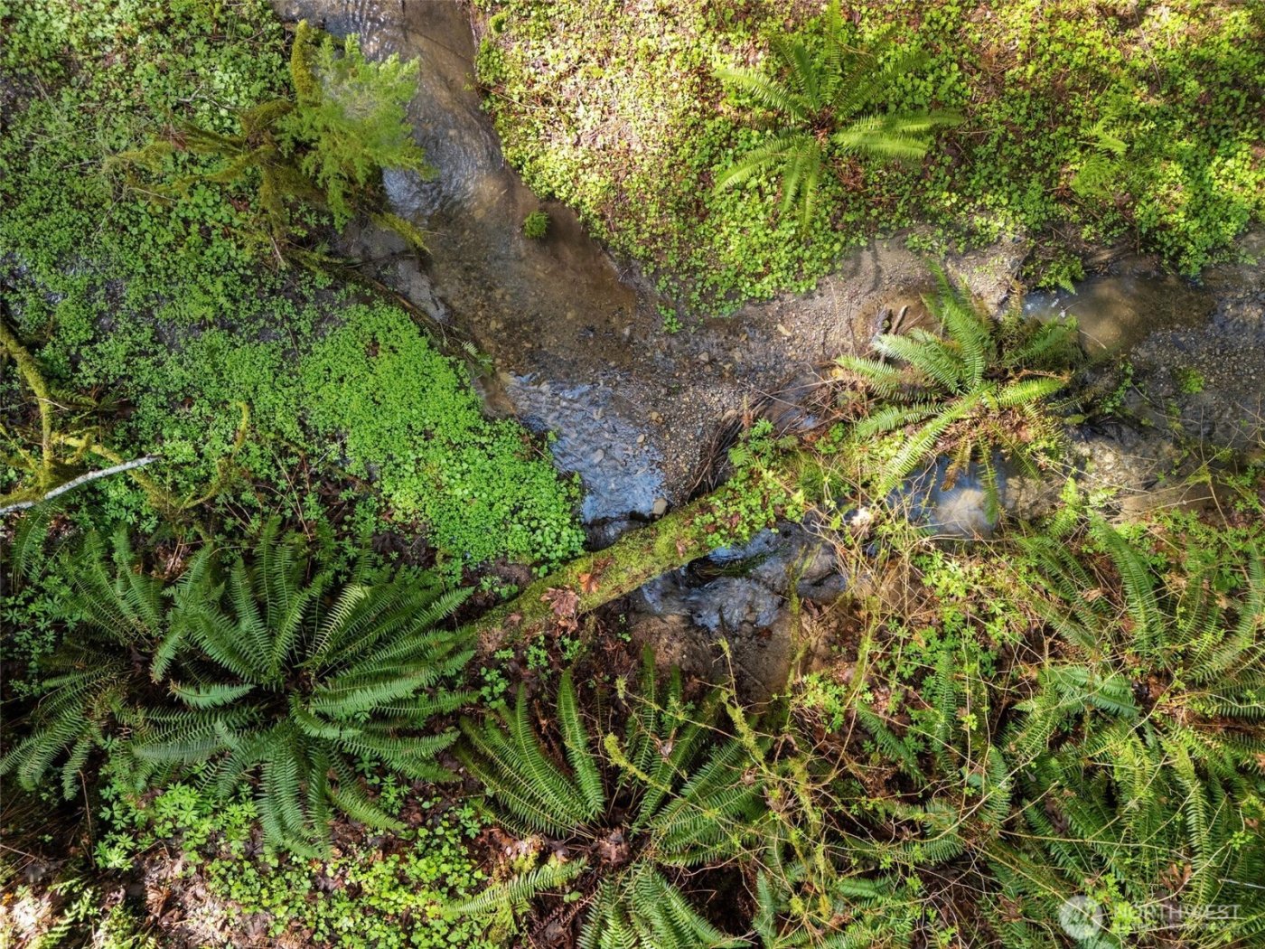 4 XX SE Sea Der Hok Lane , Shelton, WA 98584