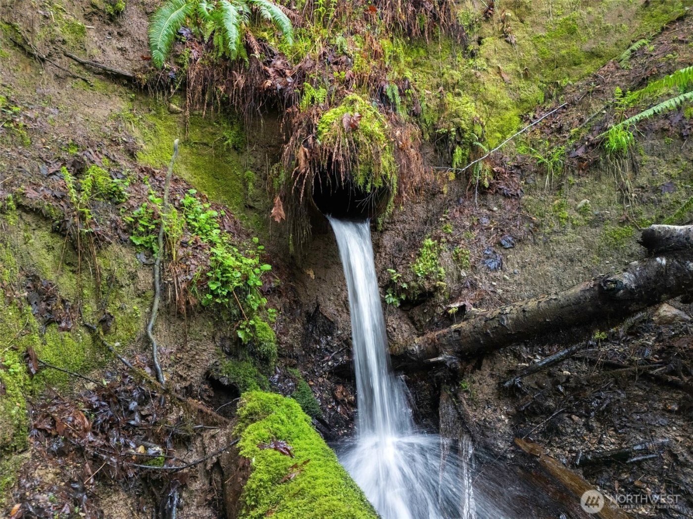 4 XX SE Sea Der Hok Lane , Shelton, WA 98584