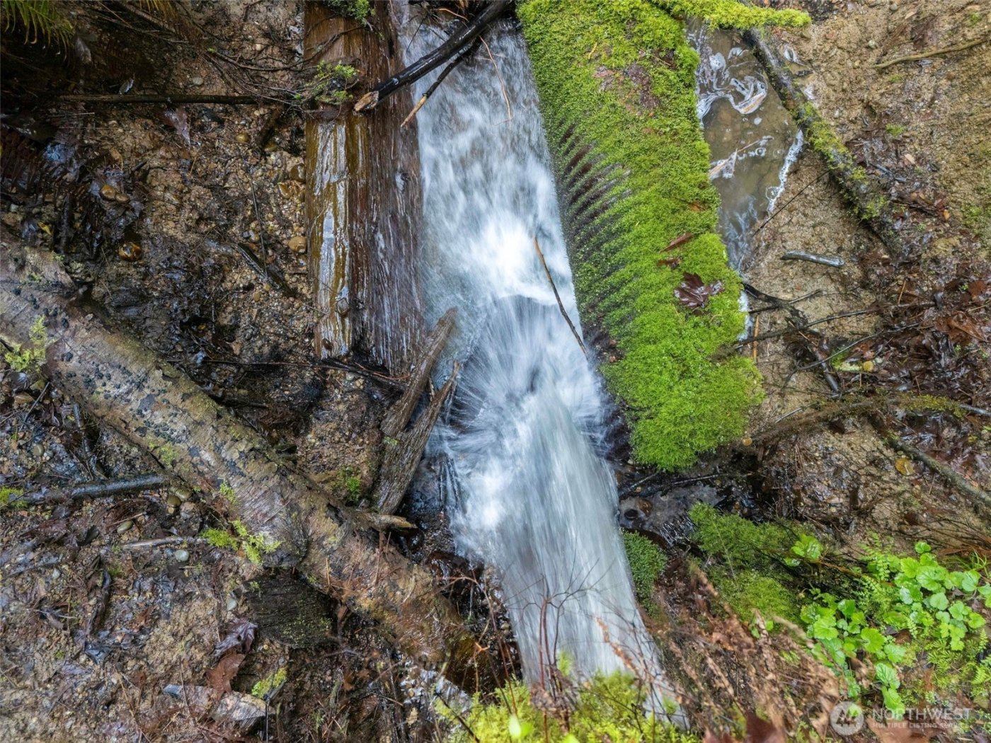 4 XX SE Sea Der Hok Lane , Shelton, WA 98584