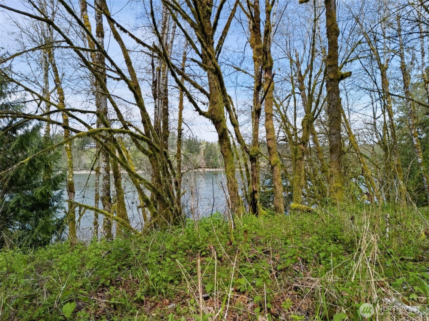 4 XX SE Sea Der Hok Lane , Shelton, WA 98584