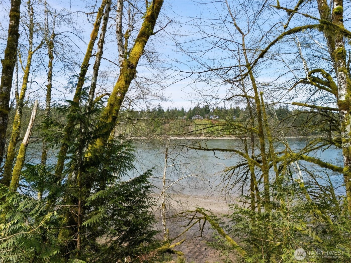 4 XX SE Sea Der Hok Lane , Shelton, WA 98584