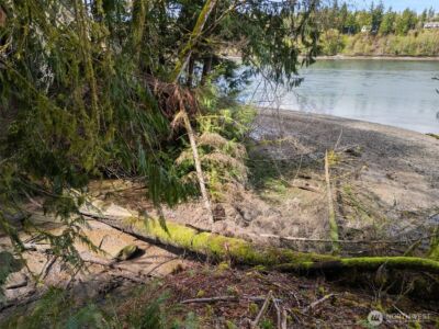 4 XX SE Sea Der Hok Lane , Shelton, WA 98584 - Photo 39