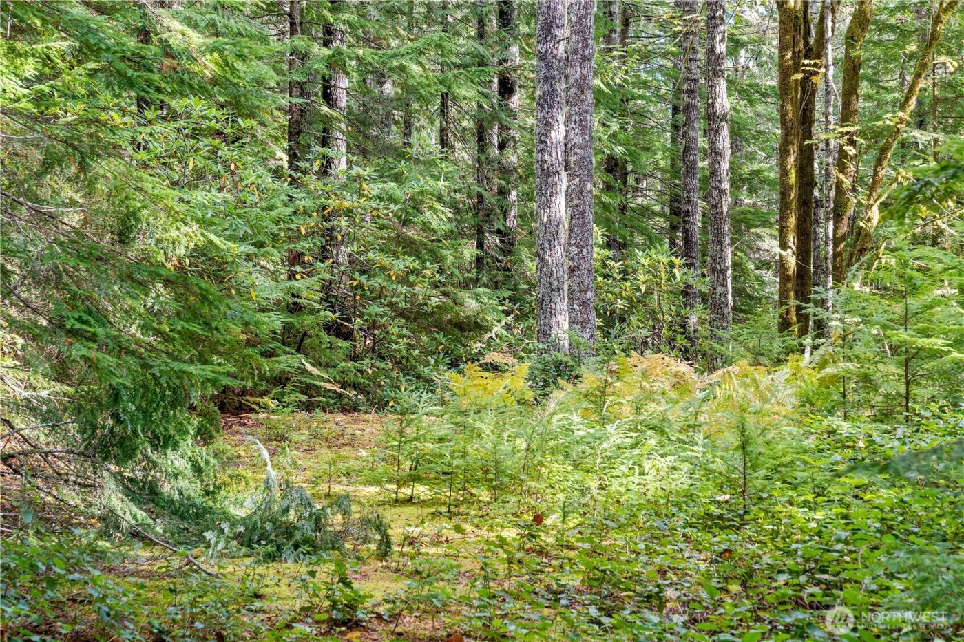 1350 N Hilltop Loop Road , Hoodsport, WA 98548