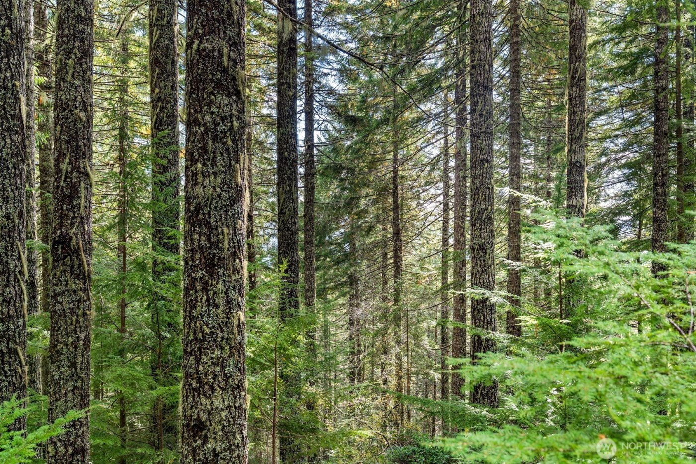 1350 N Hilltop Loop Road , Hoodsport, WA 98548