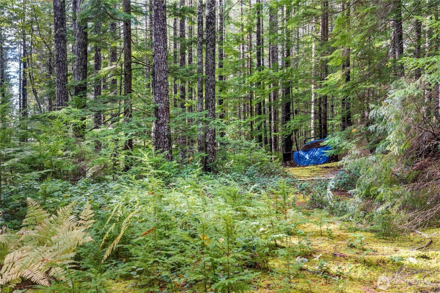 1350 N Hilltop Loop Road , Hoodsport, WA 98548