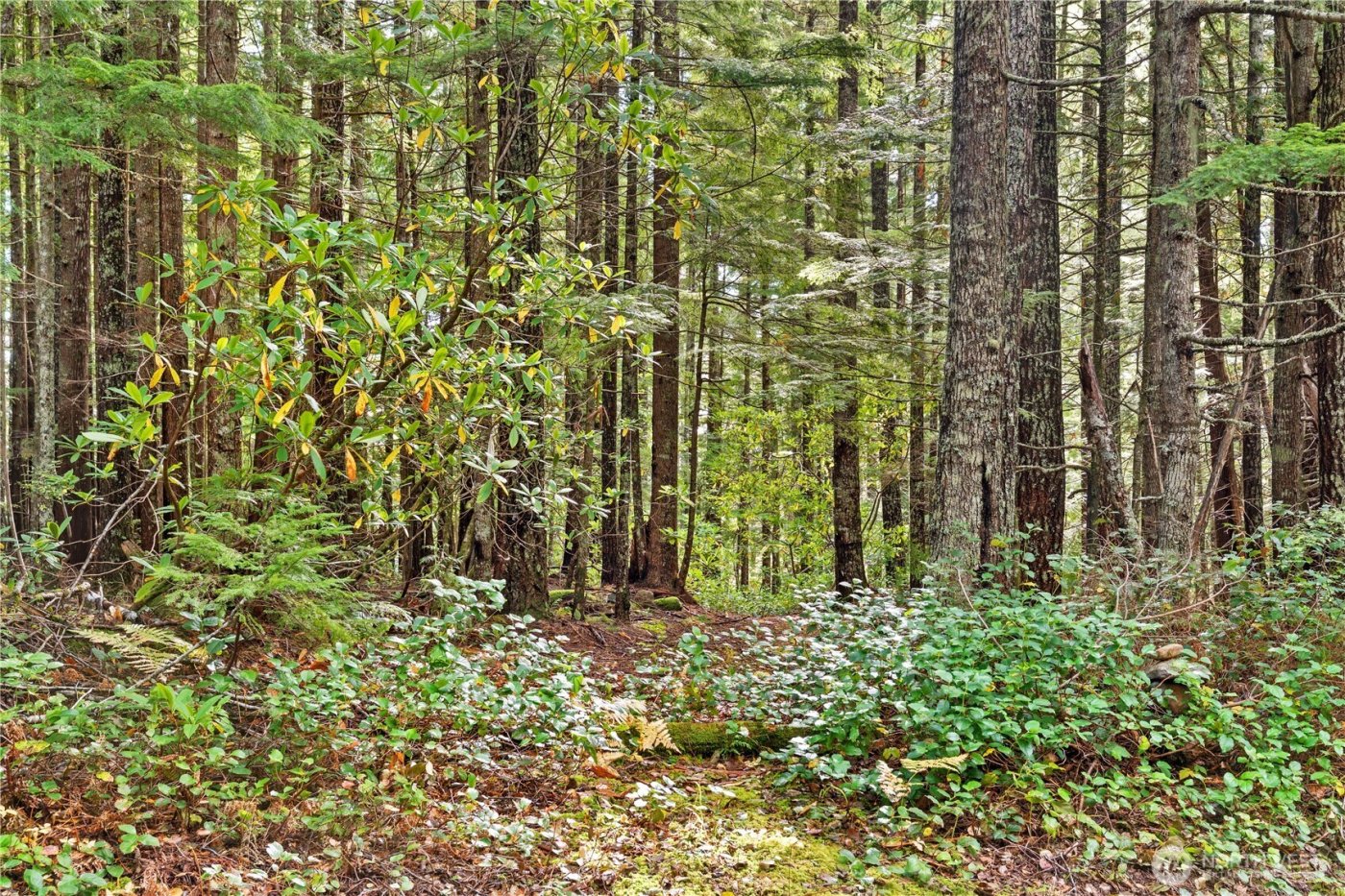 1350 N Hilltop Loop Road , Hoodsport, WA 98548