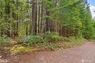 1350 N Hilltop Loop Road , Hoodsport, WA 98548 - Photo 18