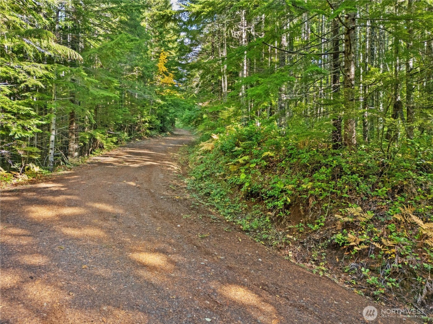 1350 N Hilltop Loop Road , Hoodsport, WA 98548