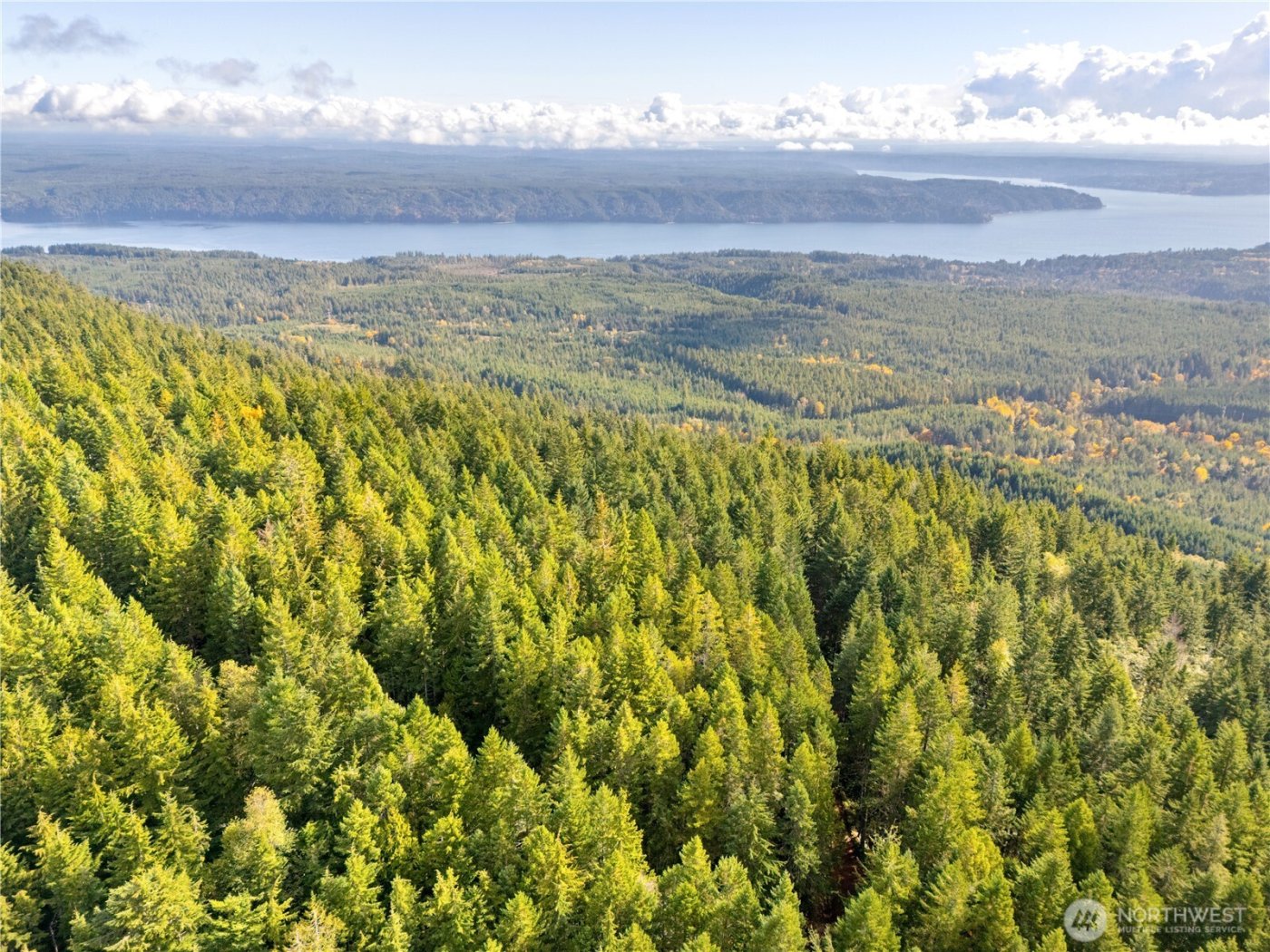 1350 N Hilltop Loop Road , Hoodsport, WA 98548