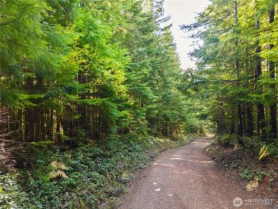 1350 N Hilltop Loop Road , Hoodsport, WA 98548 - Photo 3