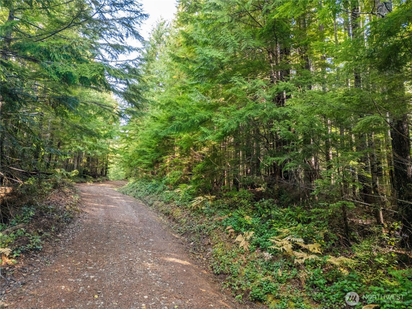 1350 N Hilltop Loop Road , Hoodsport, WA 98548