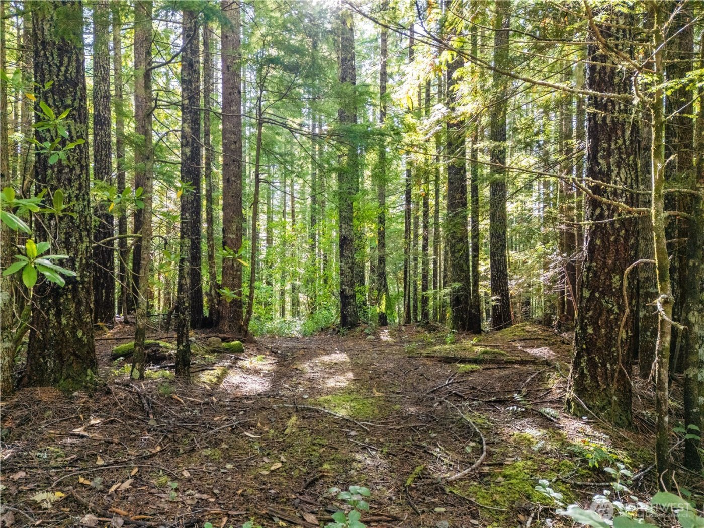 1350 N Hilltop Loop Road , Hoodsport, WA 98548