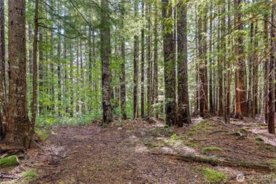 1350 N Hilltop Loop Road , Hoodsport, WA 98548 - Photo 7