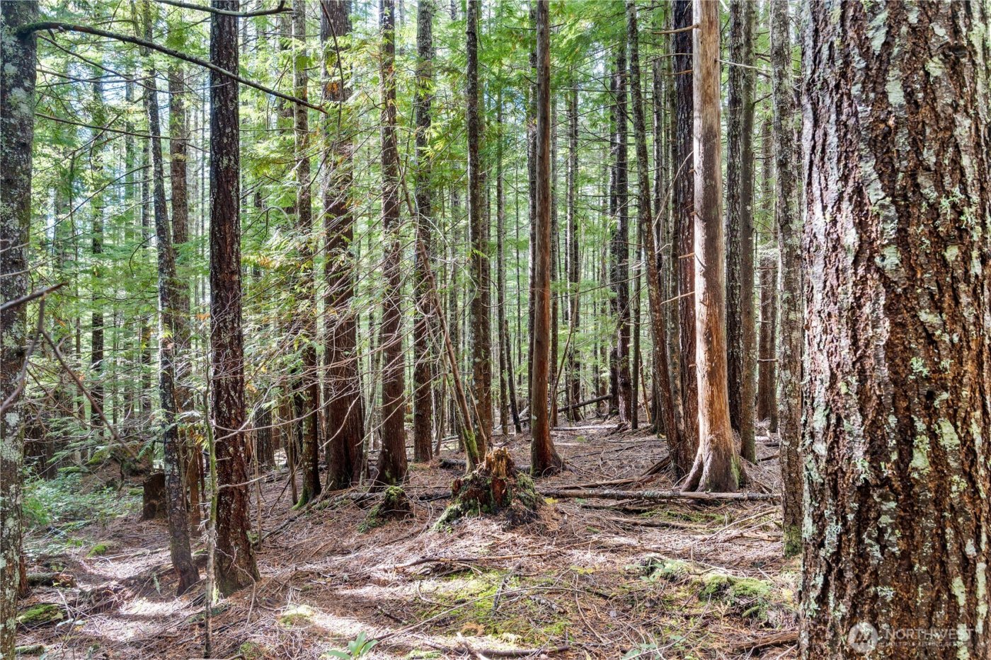 1350 N Hilltop Loop Road , Hoodsport, WA 98548