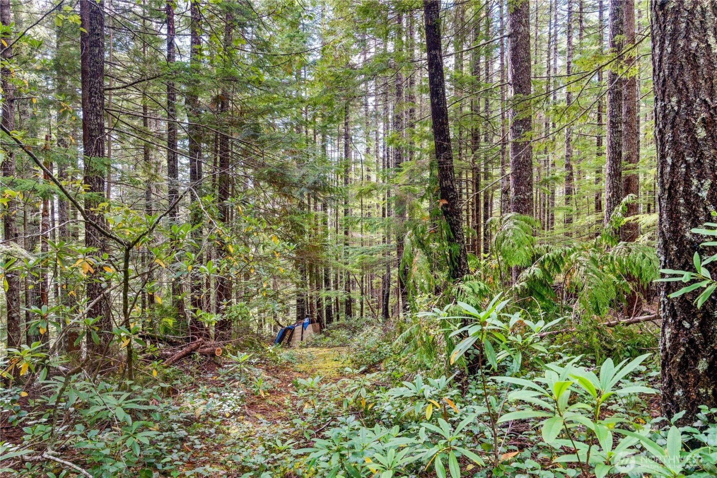 1350 N Hilltop Loop Road , Hoodsport, WA 98548