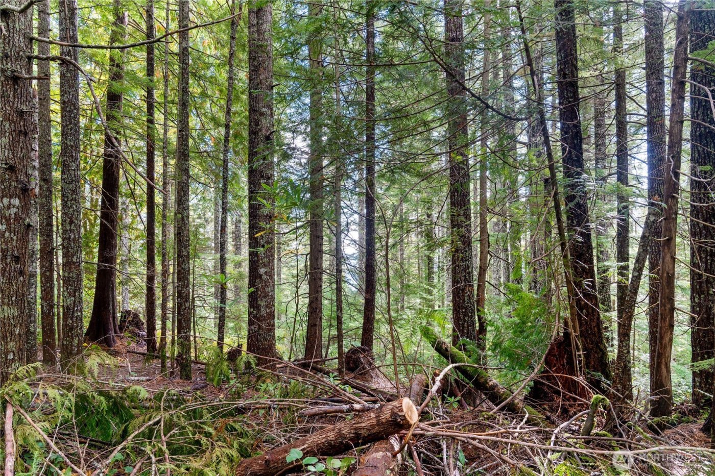 1350 N Hilltop Loop Road , Hoodsport, WA 98548