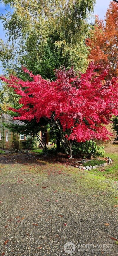 1912 Elliott Avenue NW, Olympia, WA 98502 - Photo 34