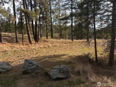 2 Mist Lake Road , Tonasket, WA 98855